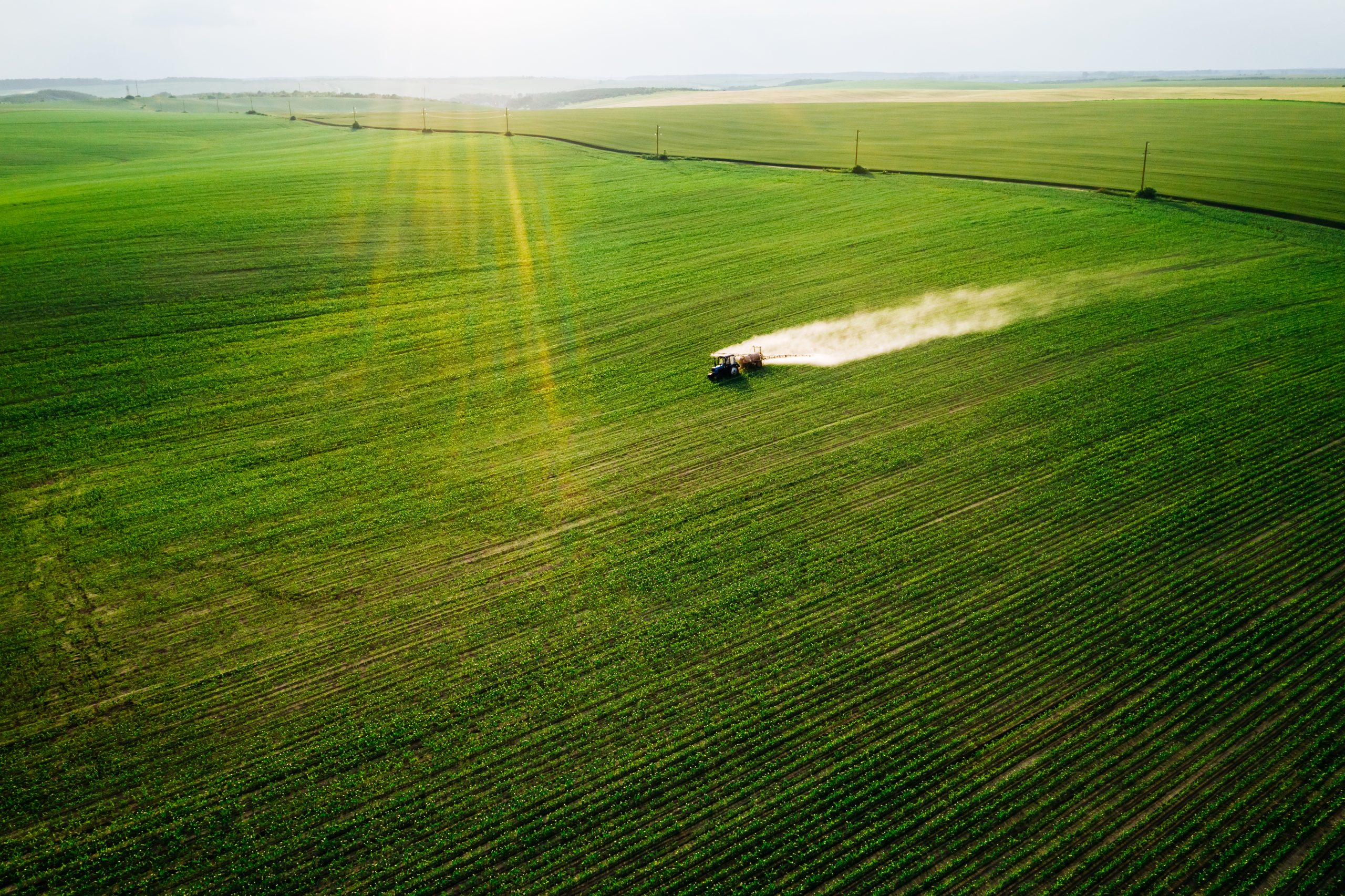 agriculture fertilizer ukraine